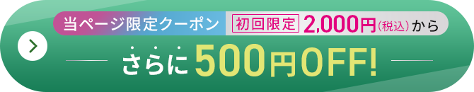 初回限定2,000円からさらに500円OFF!