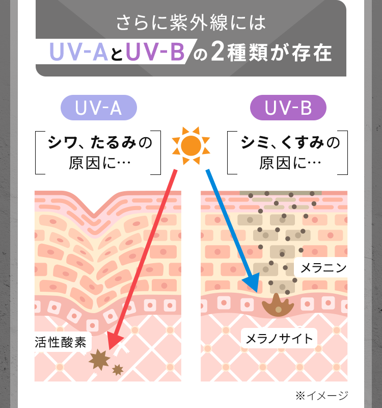 さらに紫外線にはUV-AとUV-Bの2種類が存在